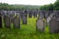 Jewish cemetery