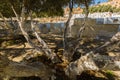 Jewish Cemetery in Fes Medina, Morocco Royalty Free Stock Photo