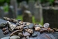 Jewish cemetery in Krakow, Poland Royalty Free Stock Photo