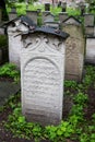 Jewish cemetery in Krakow, Poland Royalty Free Stock Photo