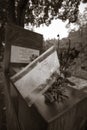 Jewish cemetery in Lodz, Poland Royalty Free Stock Photo