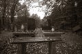 Jewish cemetery in Lodz, Poland Royalty Free Stock Photo
