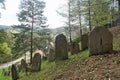 Old Jewish cemetery on a slope of a hill in Muszyna, southern Poland