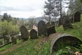 Old Jewish cemetery on a slope of a hill in Muszyna, southern Poland Royalty Free Stock Photo