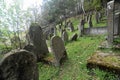 Old Jewish cementery on a slope of a hill in Muszyna, southern Poland