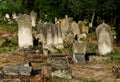 Jewish cemetery in Otwock (Karczew-Anielin)