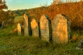 Jewisch cemetery, Stare mesto pod Landstejnem. Royalty Free Stock Photo