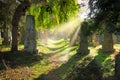 Jewish cemetery with sunbeams Royalty Free Stock Photo