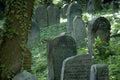 Jewish cemetery