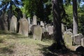 Jewish cemetery , Trebic