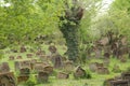 Jewish Cemetery in Worms or Heiliger Sand, in Worms, Germany Royalty Free Stock Photo