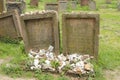 Jewish Cemetery in Worms or Heiliger Sand, in Worms, Germany Royalty Free Stock Photo