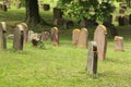 Jewish Cemetery in Worms or Heiliger Sand, in Worms, Germany Royalty Free Stock Photo