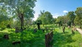 The Jewish Cemetery in Worms or Heiliger Sand, in Worms, Germany is called the oldest surviving Jewish cemetery in Europe. The Royalty Free Stock Photo