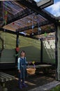 Jewish child decorating the family Sukkah