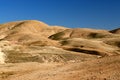 Jewish desert Royalty Free Stock Photo