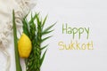 Jewish fall festival of Sukkot. Traditional symbols & x28;The four species& x29;: Etrog, lulav, hadas, arava