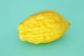 Jewish festival of Sukkot. Etrog LemonTraditional symbol One of The four species over mint wooden background.