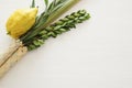 Jewish festival of Sukkot. Traditional symbols The four species: Etrog, lulav, hadas, arava