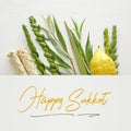 Jewish festival of Sukkot. Traditional symbols The four species: Etrog, lulav, hadas, arava Royalty Free Stock Photo