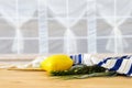 Jewish festival of Sukkot. Traditional symbols The four species: Etrog, lulav, hadas, arava Royalty Free Stock Photo