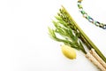 Jewish festival of Sukkot. Sukkot traditional symbols. Four species etrog, lulav, willow and myrtle.