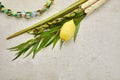 Jewish festival of Sukkot. Sukkot traditional symbols. Four species etrog, lulav, willow and myrtle.