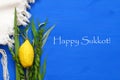 Jewish festival of Sukkot. Traditional symbols & x28;The four species& x29;: Etrog, lulav, hadas, arava