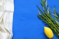 Jewish festival of Sukkot. Traditional symbols & x28;The four species& x29;: Etrog, lulav, hadas, arava Royalty Free Stock Photo