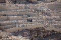 Jewish Funeral on Mount of Olives Cemetery