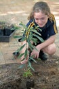 Jewish girl planting a new tree in the garden on Tu Bishvat Jewish holiday