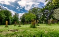 Jewish graves in a green landscape