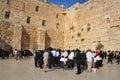 Jewish hasidic pray a the Western Wall,