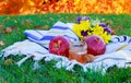 Jewish holiday Rosh Hashana new year celebration Royalty Free Stock Photo