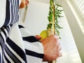 Jewish man holding traditional symbols (The four species): etrog, lulav, hadass, aravah