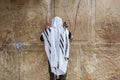 Jewish man praying at the Western wall