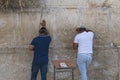 Jewish men praying at the Western Wall, important Jewish religious site in the Old City of Jerusalem, Israel. Two men in casual Royalty Free Stock Photo