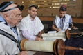 Jewish men reading and praying from a Torah scroll Royalty Free Stock Photo
