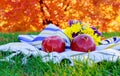 Jewish new year. Rosh Hashana apples, honey pomegranates holiday Royalty Free Stock Photo