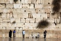 Jewish praying at the wailing wall, Western Wall Royalty Free Stock Photo