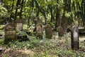 Jewish Tombs in very old cemetery Royalty Free Stock Photo