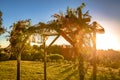 Jewish traditions wedding ceremony. Wedding canopy chuppah or huppah with lens flare Royalty Free Stock Photo