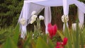 Jewish traditions wedding ceremony. Wedding canopy (chuppah or huppah).