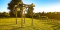 Jewish wedding Chuppah with view of trees and sky