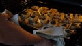 Jewish woman baking Hamantash in oven