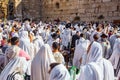 Jews pray at the Wailing Wall Royalty Free Stock Photo