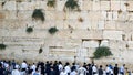 Jews praying at the Western Wall. Royalty Free Stock Photo