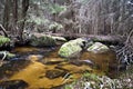 Jezerni potok creeek with stones in Sumava Royalty Free Stock Photo