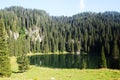 Jezero na planinni pri jezeru - Lake in Triglav park