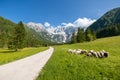 Jezersko, Slovenia mountain valley